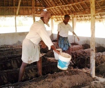 Compost & Bio-Nutrients