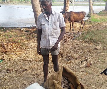 Soil Management