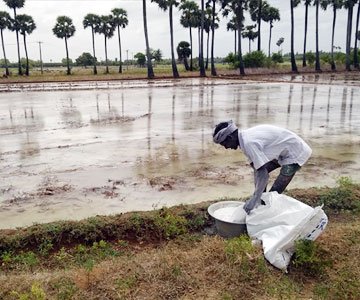 Soil Management