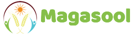 Magasool